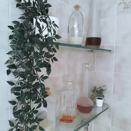 House Experience Violeta Semesterbostad