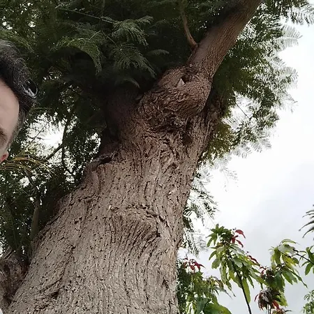 House Experience Violeta Semesterbostad La Victoria de Acentejo