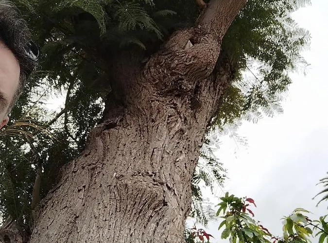 House Experience Violeta בית נופש La Victoria de Acentejo