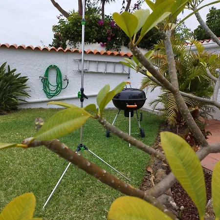 House Experience Violeta